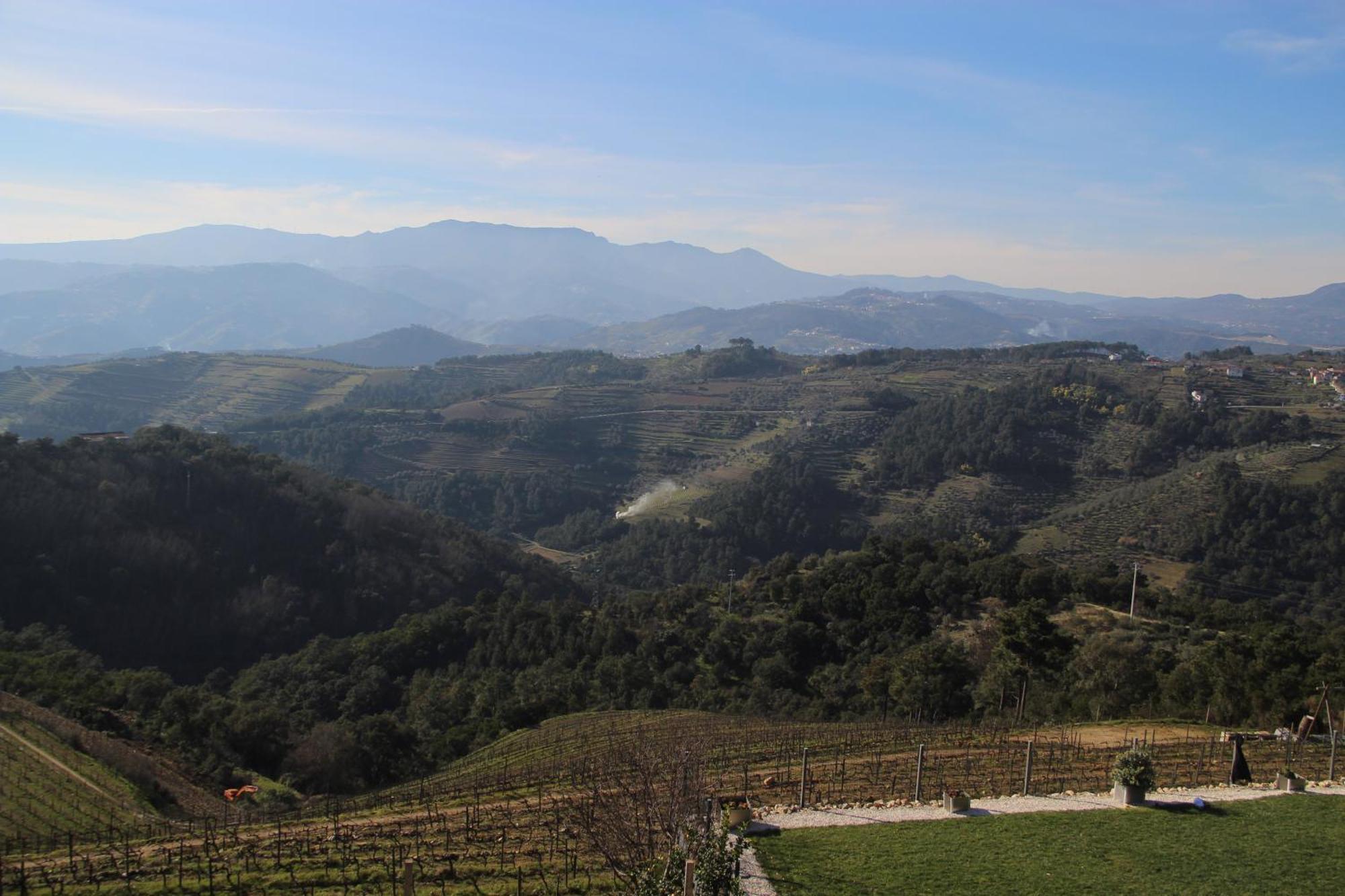 빌라레알 Quinta Da Corujeira 빌라 외부 사진